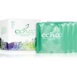 Ccha VOYAGE Breath of Norse Gods zelený čaj s mätou 15x2 g